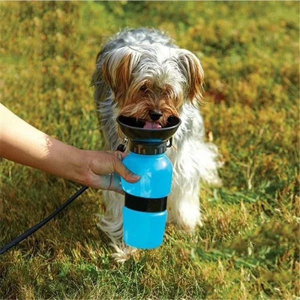 500ml Portable Bottle – Easy Hydration on the Go 🐶💧