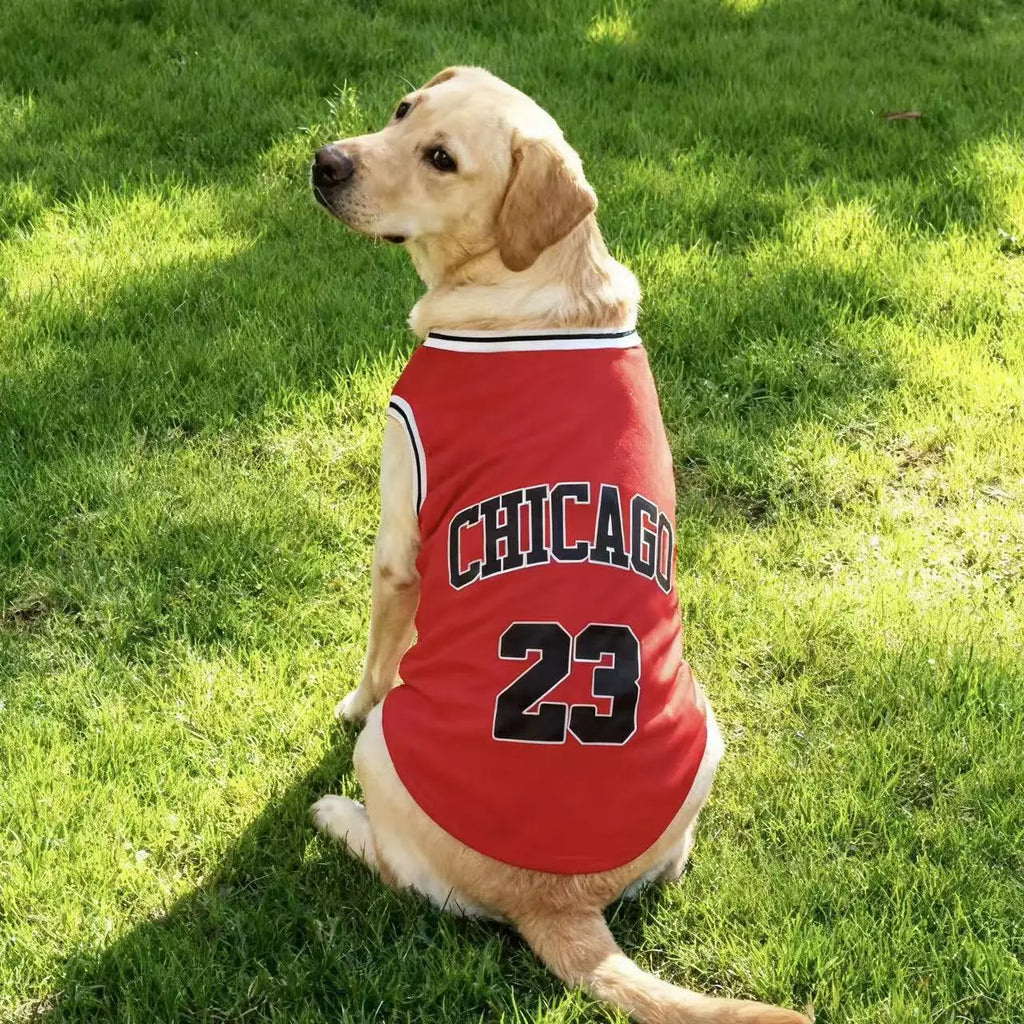 Jersey Basket Chicago – Style Urbain & Fraîcheur Été 🏀🐶