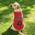 Jersey Basket Chicago – Style Urbain & Fraîcheur Été 🏀🐶