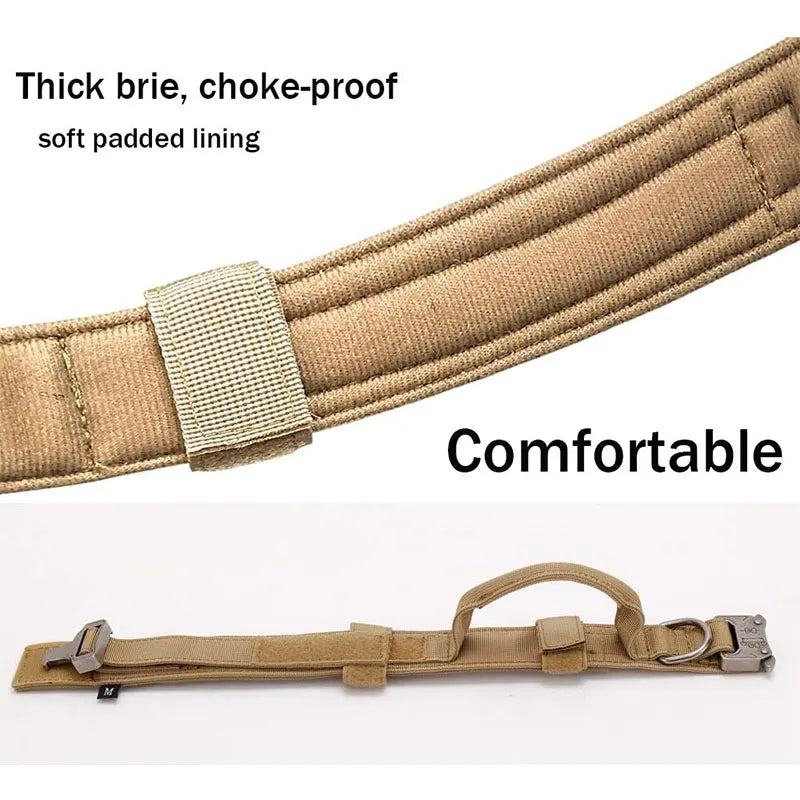 Collier Tactique Sport en Nylon – Contrôle & Résistance Optimale 🐕💪