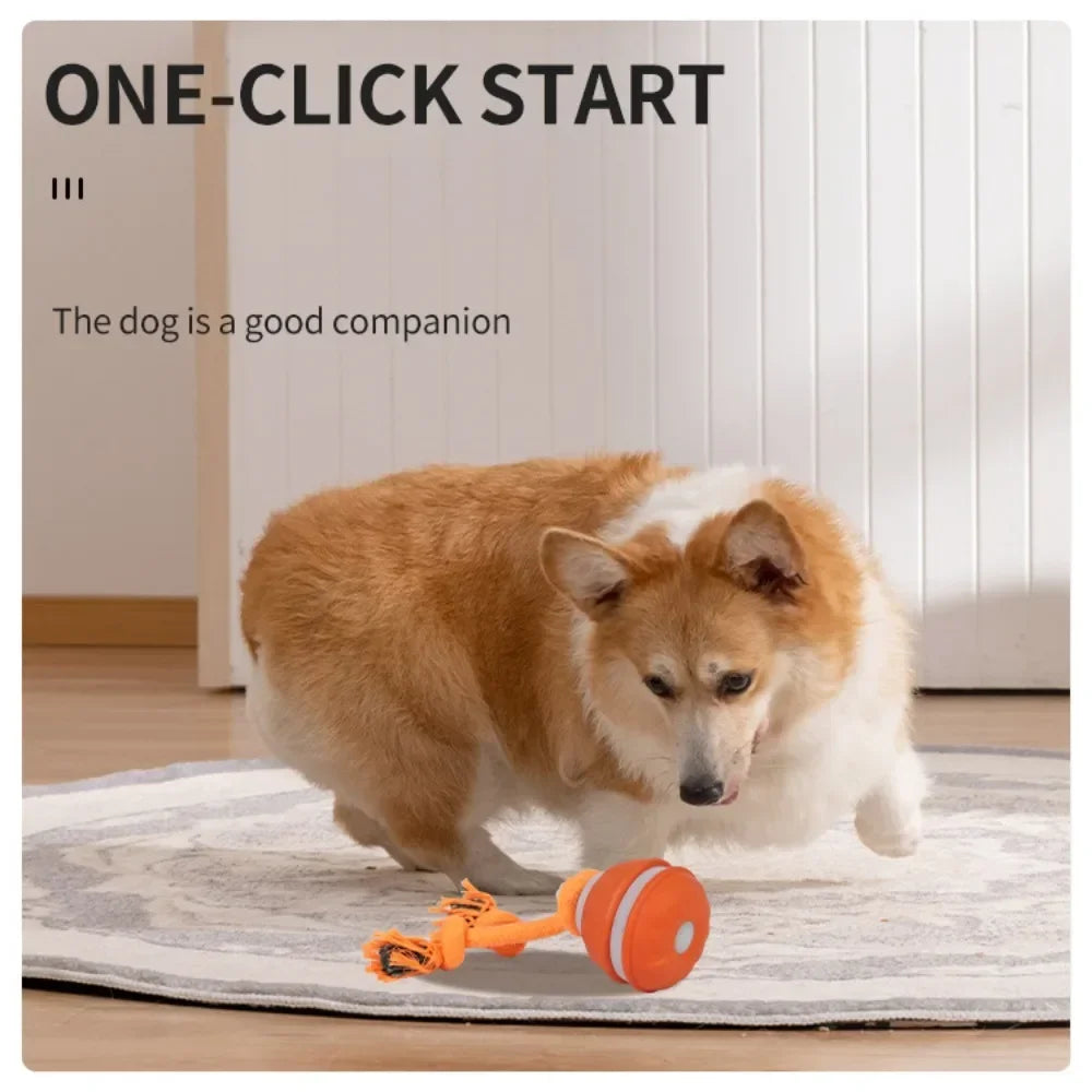 Balle Interactive Intelligente – Jeu Automatique & Anti-Ennui 🐶⚡