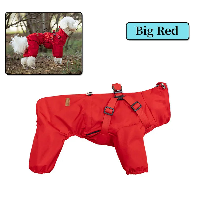 4-Legged Raincoat with Harness – Full Protection in the Rain 🌧️🐶💛