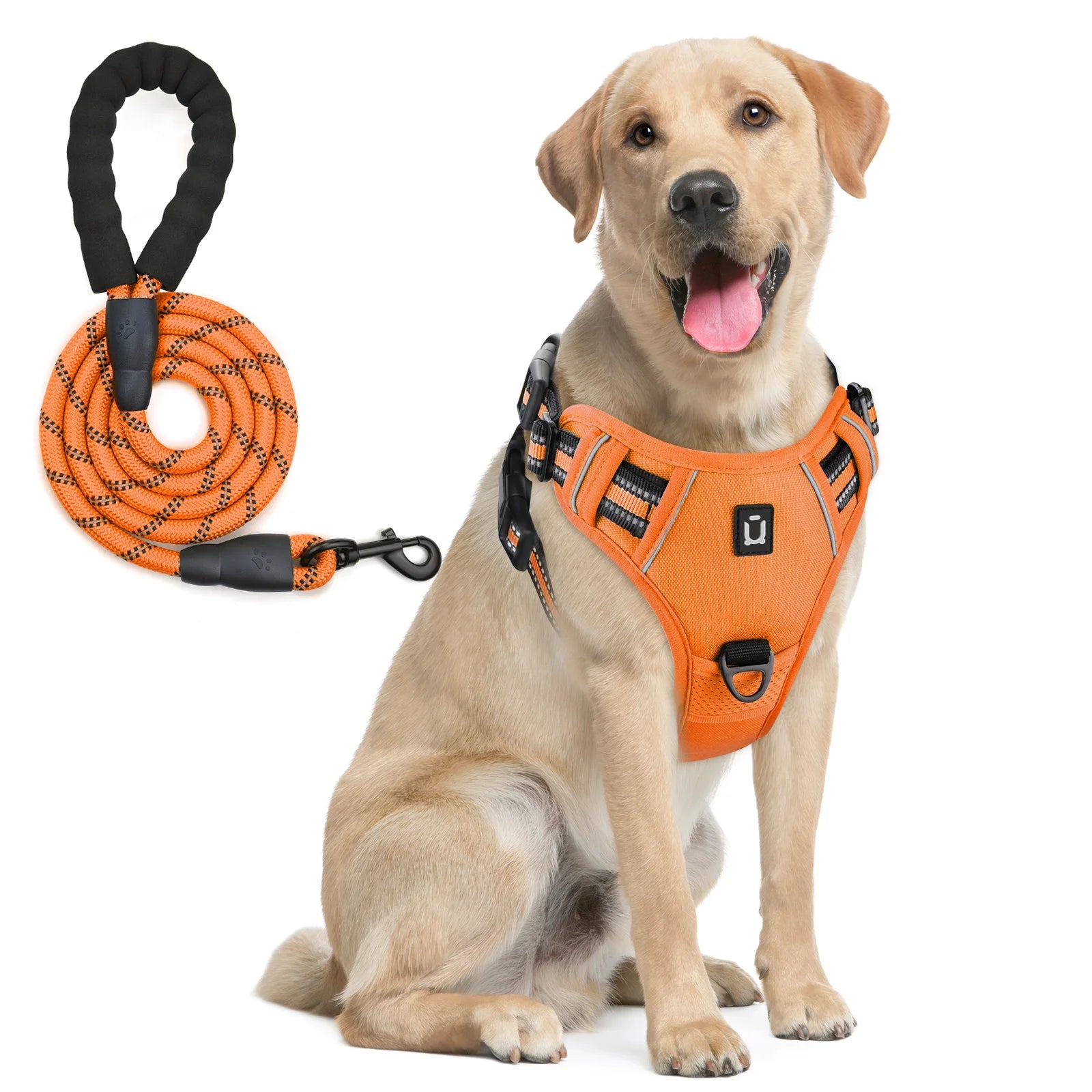Anti-Pull Harness + 1.5 m Leash – Total Control & Comfort 🐶💛
