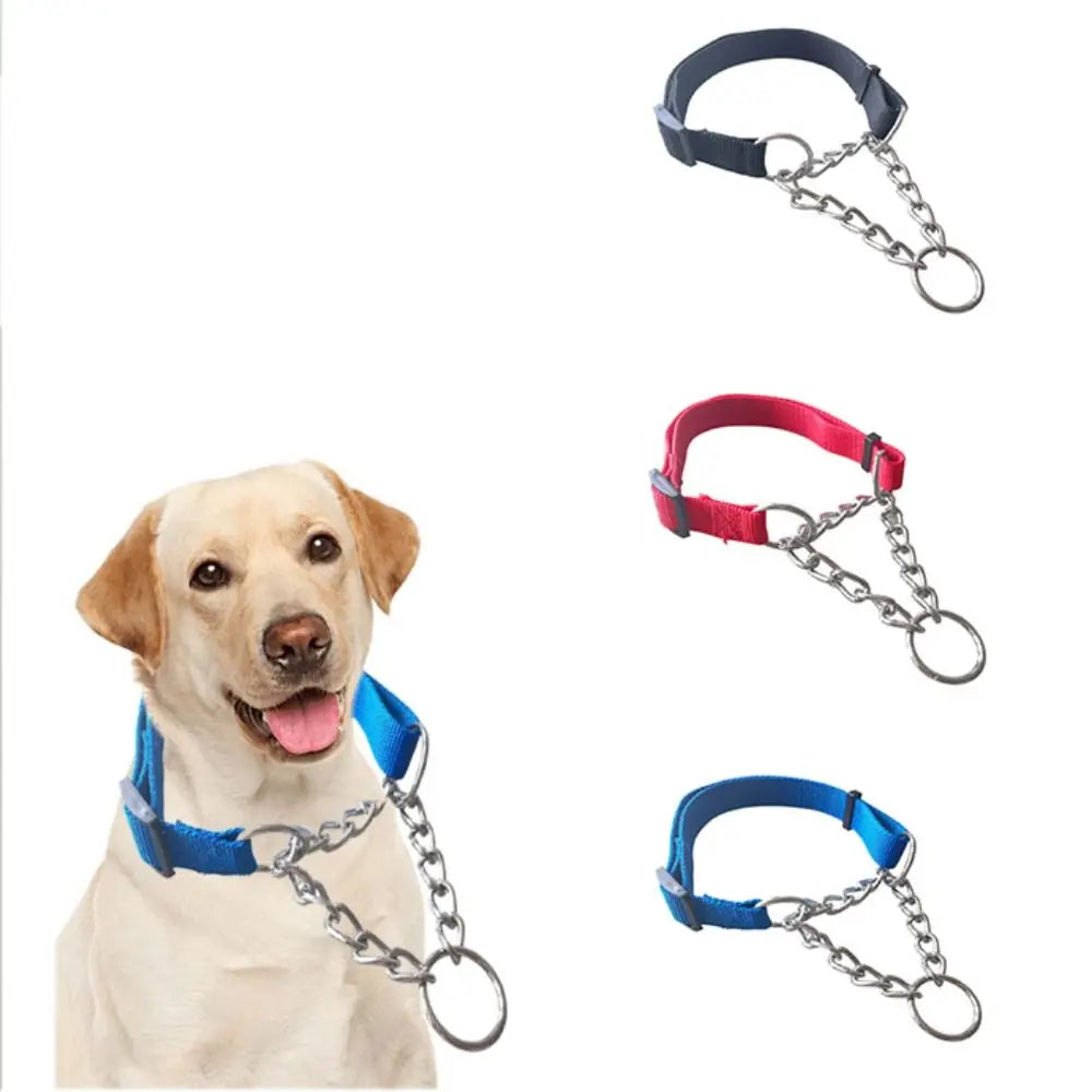 Collier Entraînement Renforcé – Contrôle & Sécurité Optimale 🐶💛