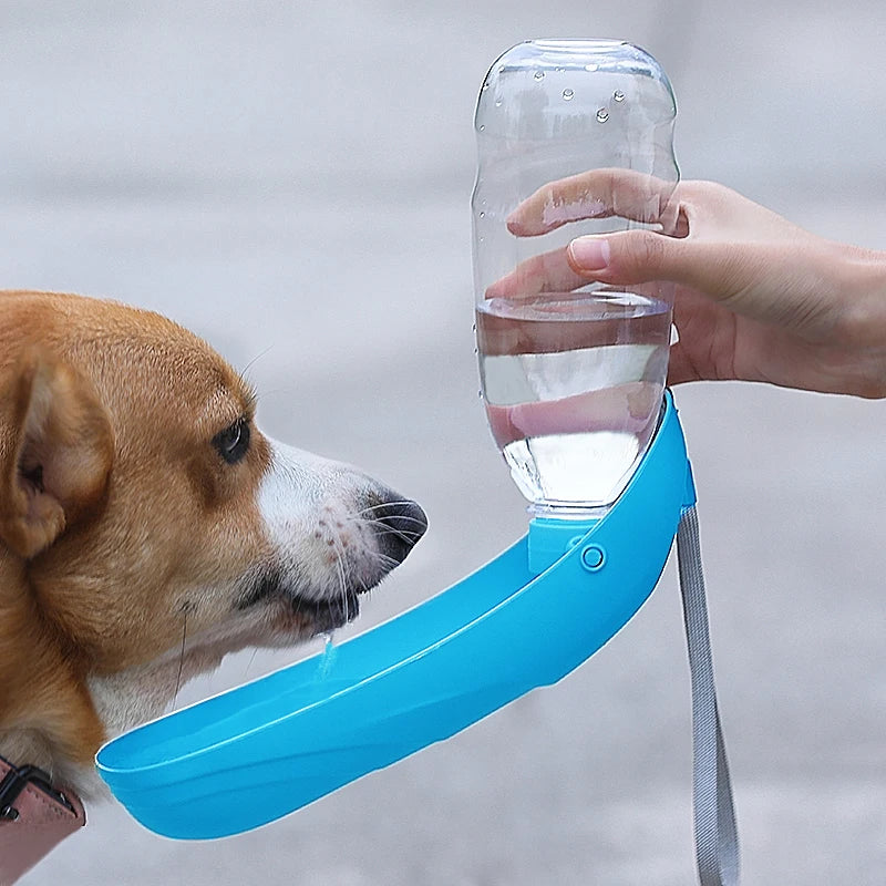 Portable Foldable Bottle – Easy Hydration Anywhere 🐶💧
