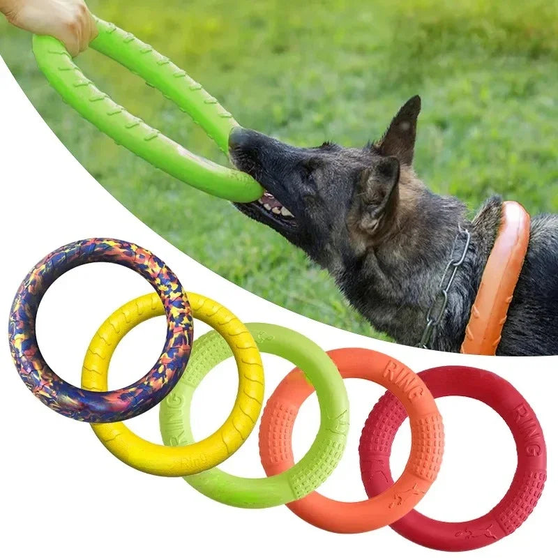 Disque Volant Flottant pour Chiens – Jeu Interactif