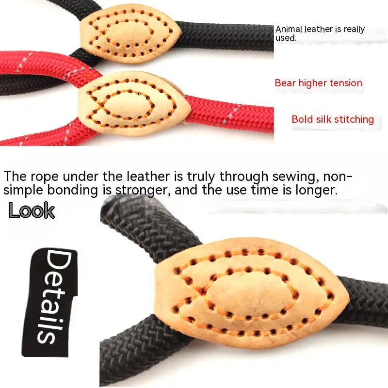 Adjustable Harness & Leash – Optimal Control & Comfort 🐶💪