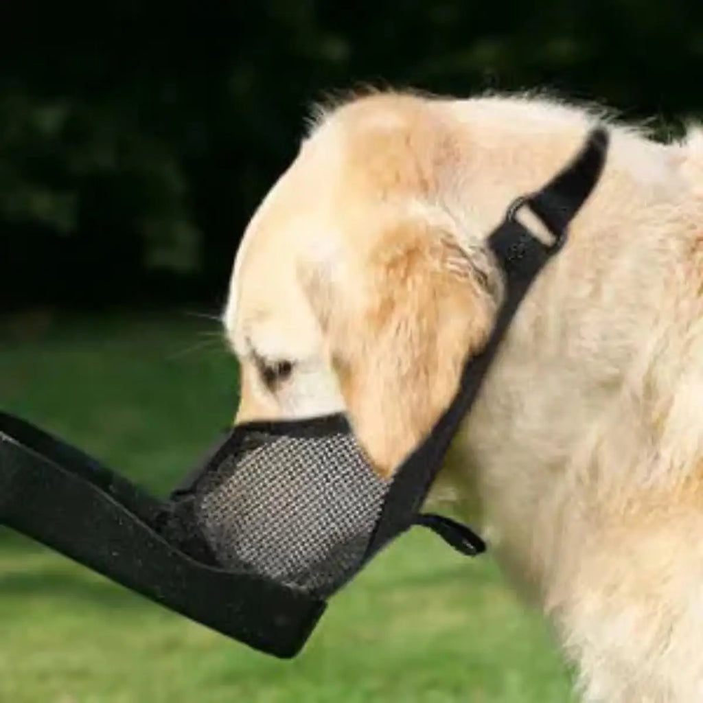 Museau Maille Respirante – Sécurité & Confort Quotidien 🐶🛑