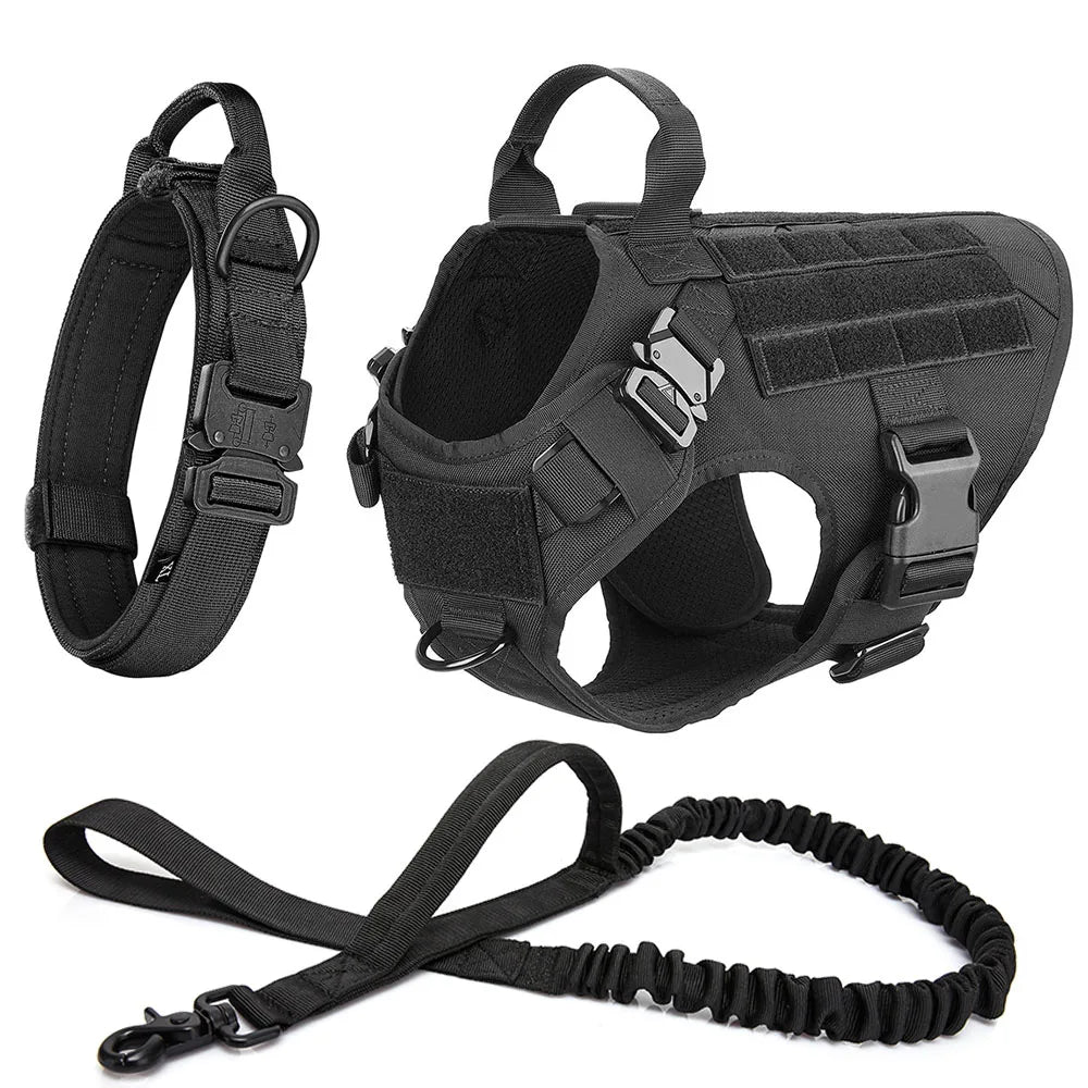 Pro Tactical Harness + Leash – Absolute Power & Control 🐶💛