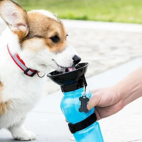 Bouteille Portable 500ml – Hydratation Facile en Déplacement 🐶💧