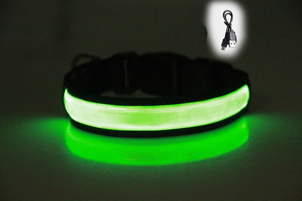 Collier LED Rechargeable – Visibilité 500m & Sécurité Nocturne 🌙🐶💛