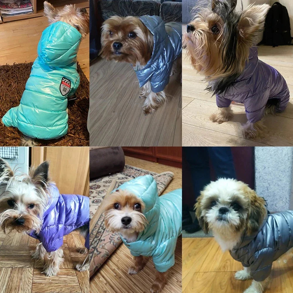 Waterproof Winter Jumpsuit – Warmth & Total Protection ❄️🐶💛