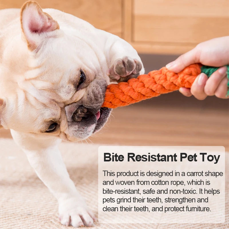 Jouet Corde Cartoon Tressée – Jeu & Dents Propres 🪢🐶💛