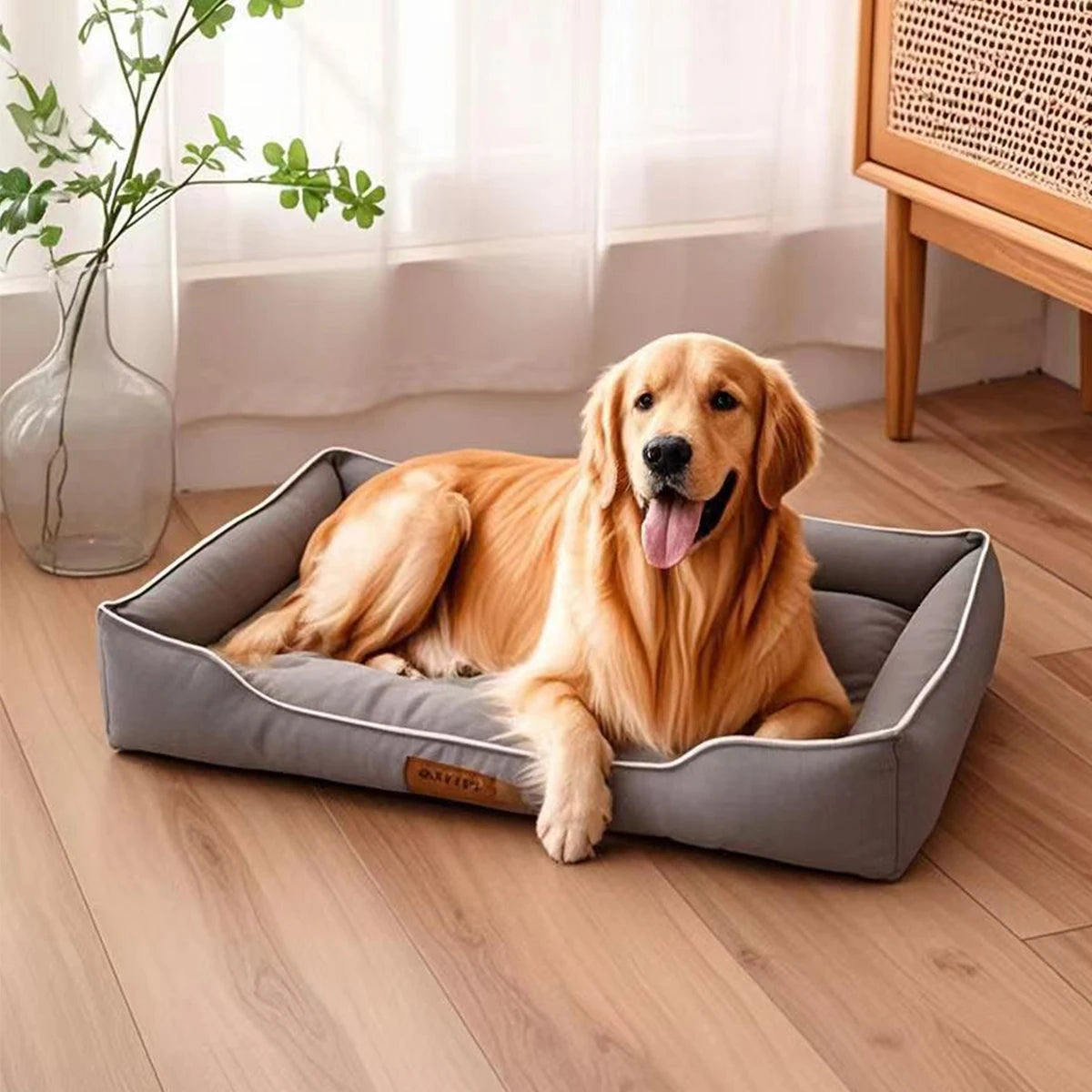Resistant Sofa Bed – Ultimate Comfort & Protection 💪🛋️