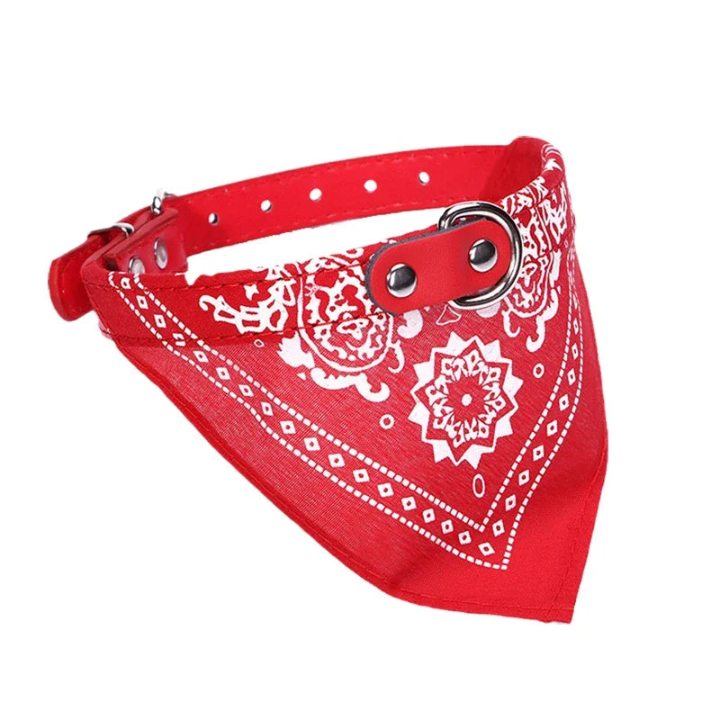 Elegant Collar with Scarf for Dogs & Cats