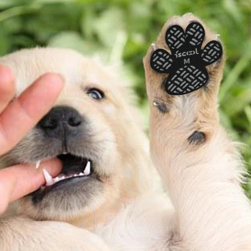 Protections Antidérapantes pour Pattes de Chien (Lot de 4)