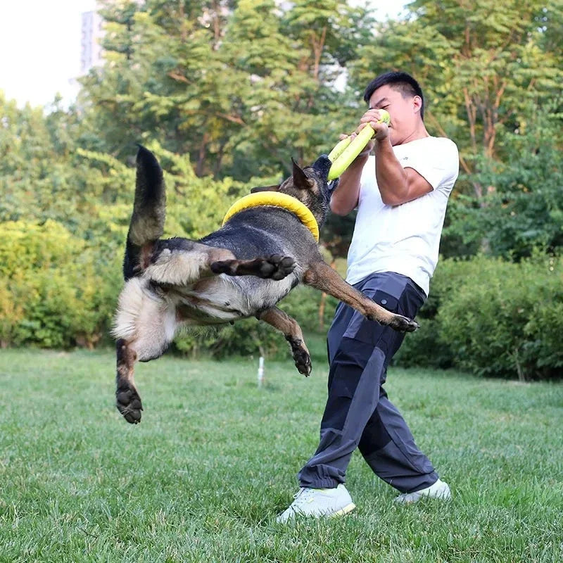 Disque Volant Flottant pour Chiens – Jeu Interactif