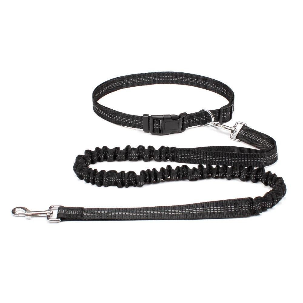 Laisse Mains Libres Confort+ pour Chien – Anti-Choc, Réfléchissante & Ajustable 🐶🏃‍♂️💛