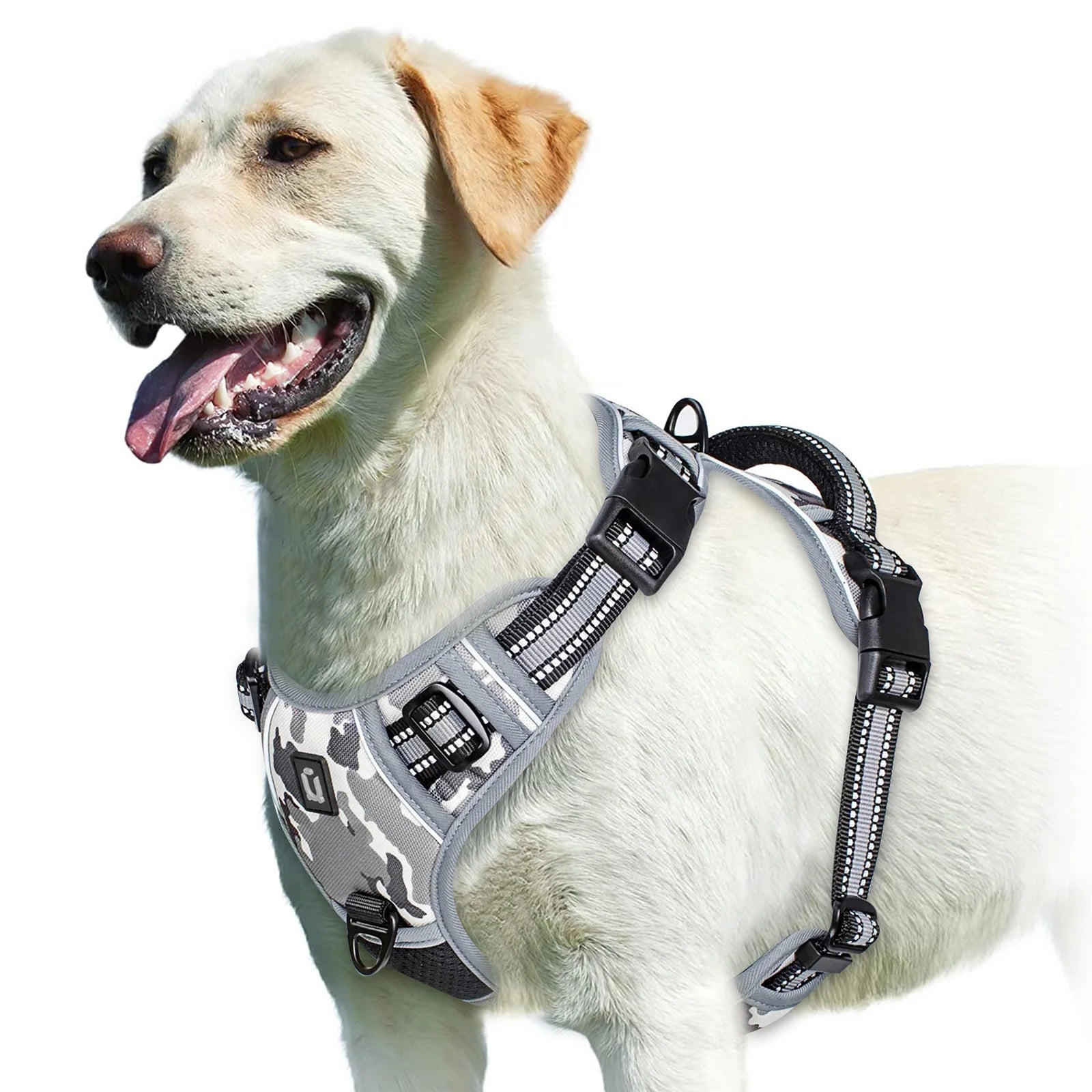 Padded No-Pull Harness – Optimal Control & Comfort 🐶💛