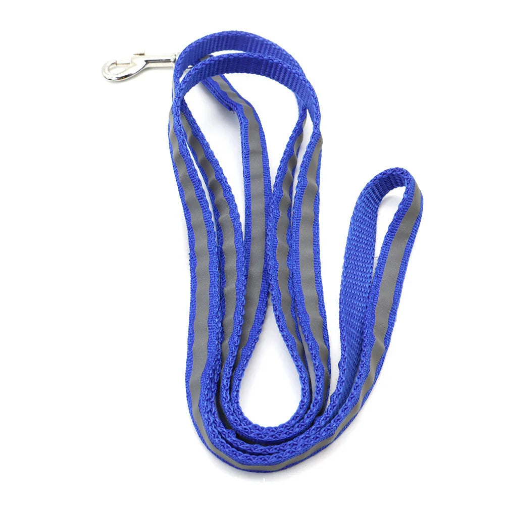 Reflective Leash – Safety & Simplicity for Everyday Use 🐶🌙💛