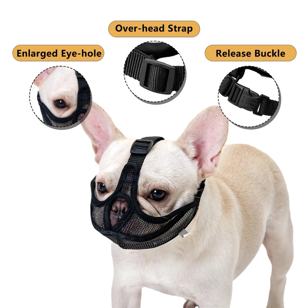 Museau Confort Spécial Museau Court – Sécurité & Respiration Optimale 🐶🛑💛