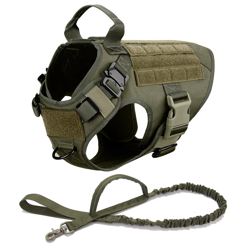 Pro Tactical Harness + Leash – Absolute Power & Control 🐶💛
