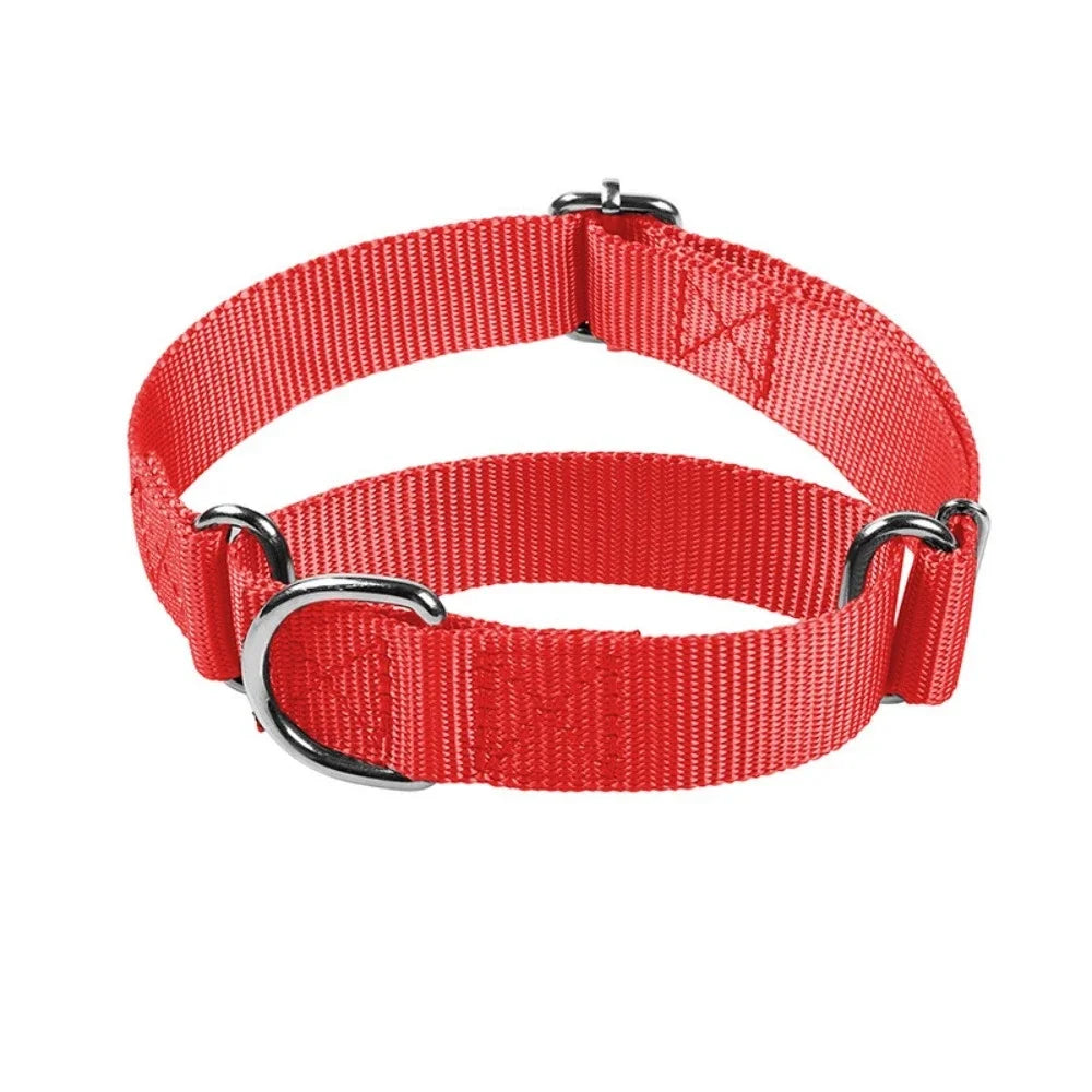 Martingale Anti-Escape Collar – Gentle Control & Total Security 🐶💛