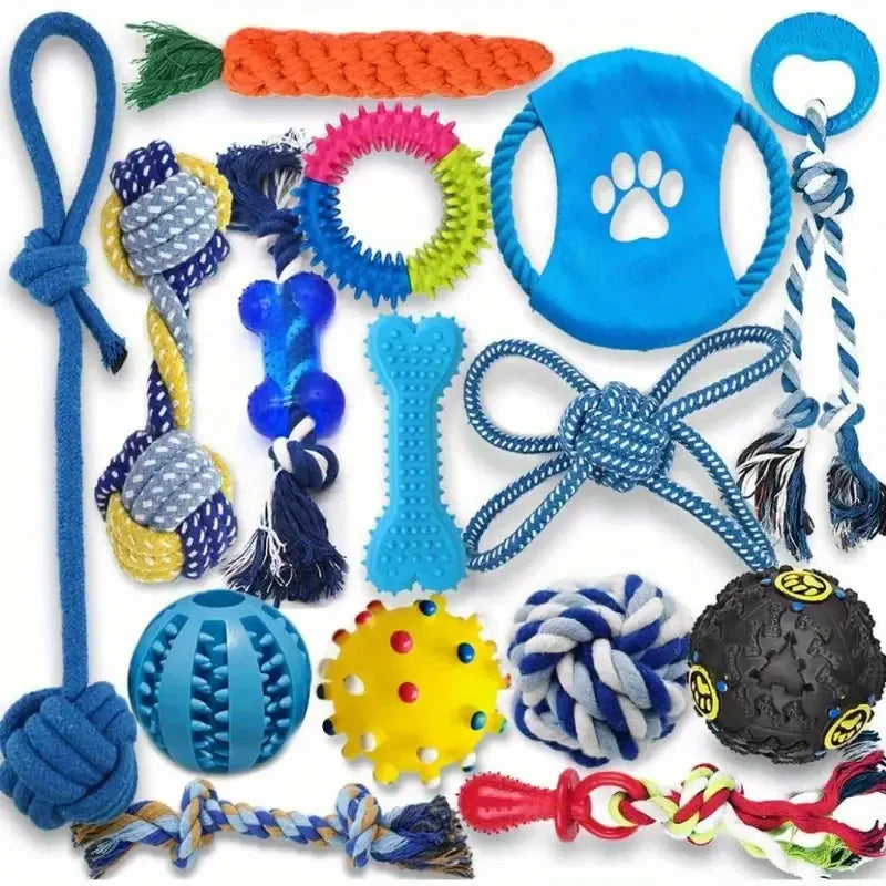 Ensemble 15 Jouets Résistants – Anti-Destruction & Amusement Infini 🐶🎾💛