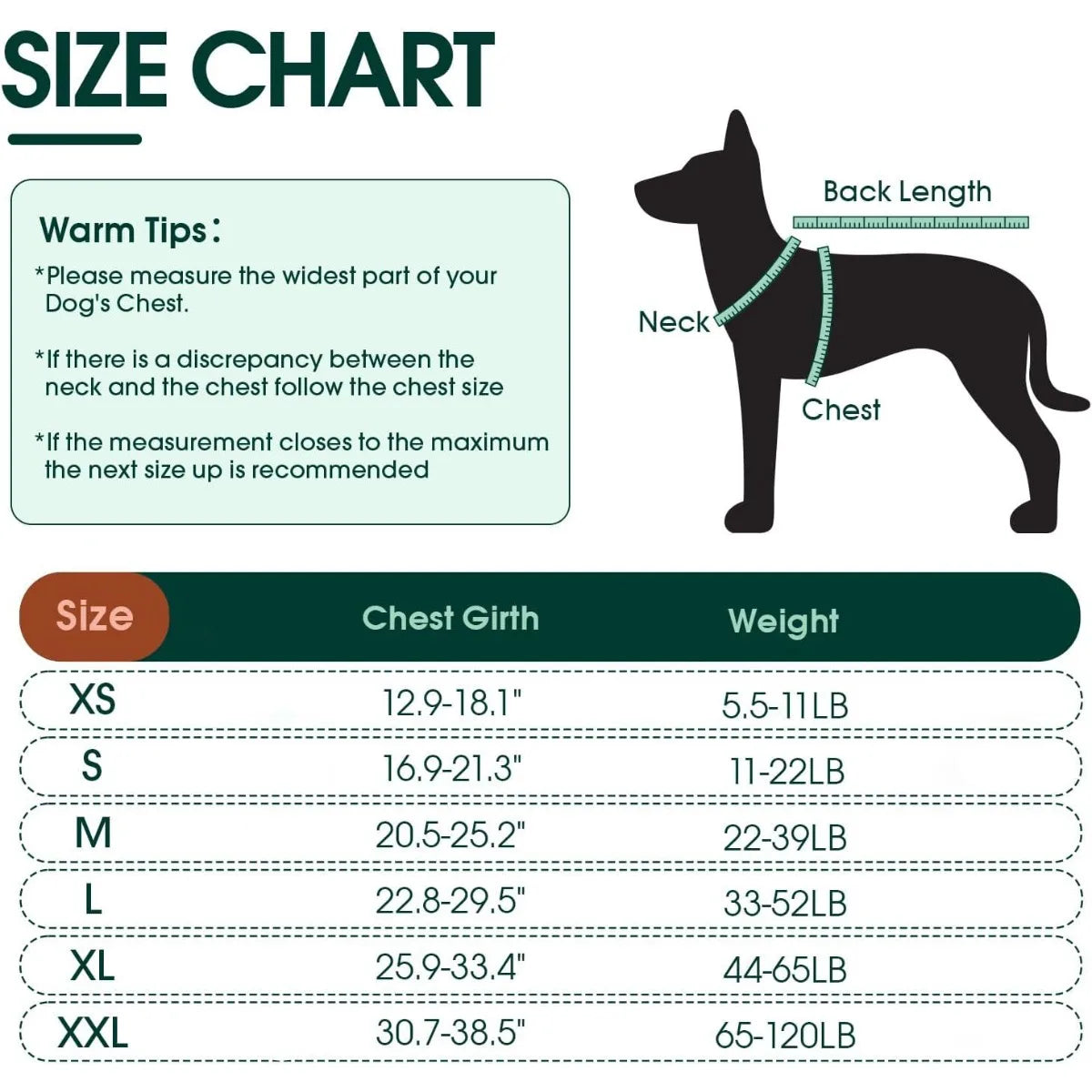 Dog Life Vest – Maximum Buoyancy & Safety 🐶🌊🦈💛