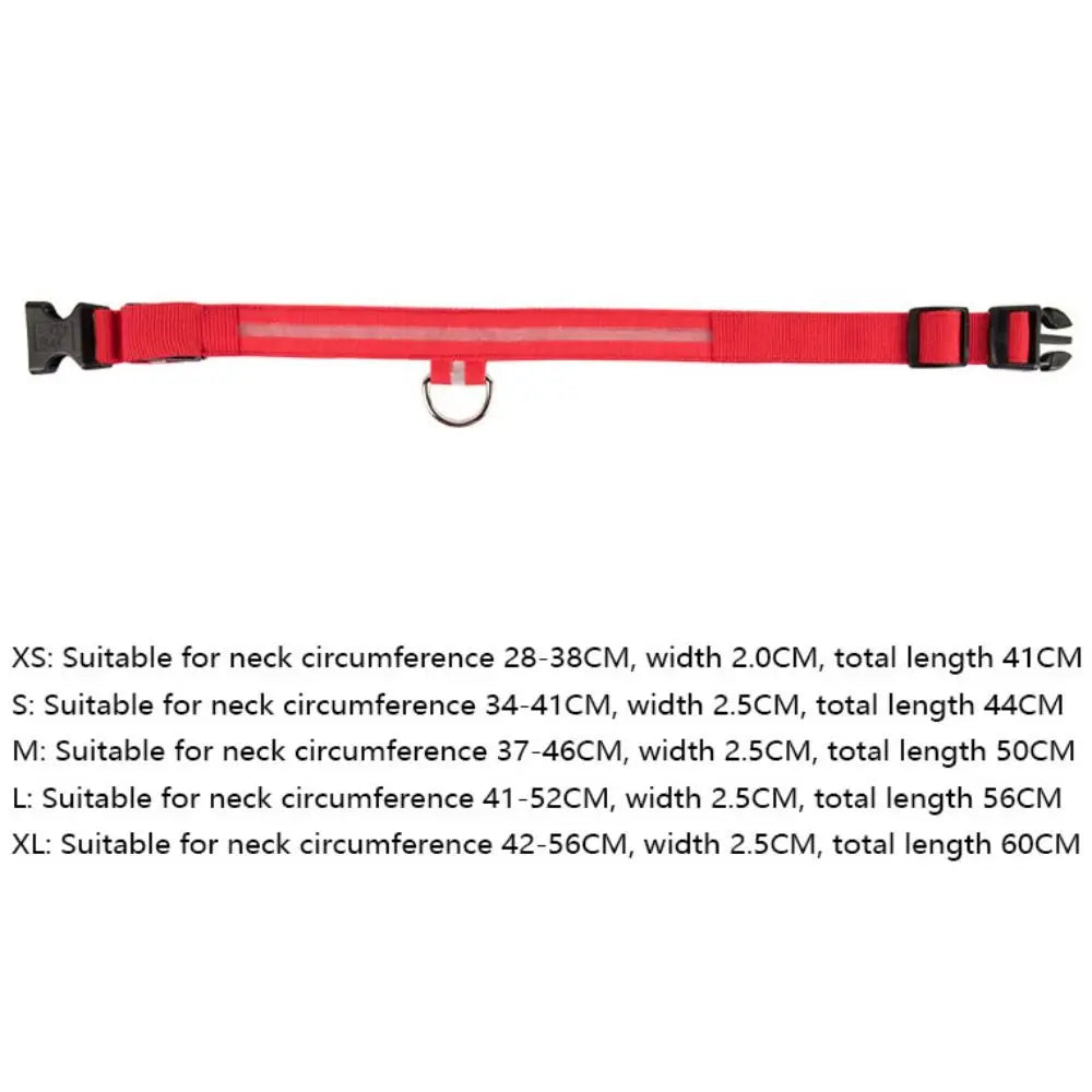USB Rechargeable LED Light-Up Dog Collar – Night Safety