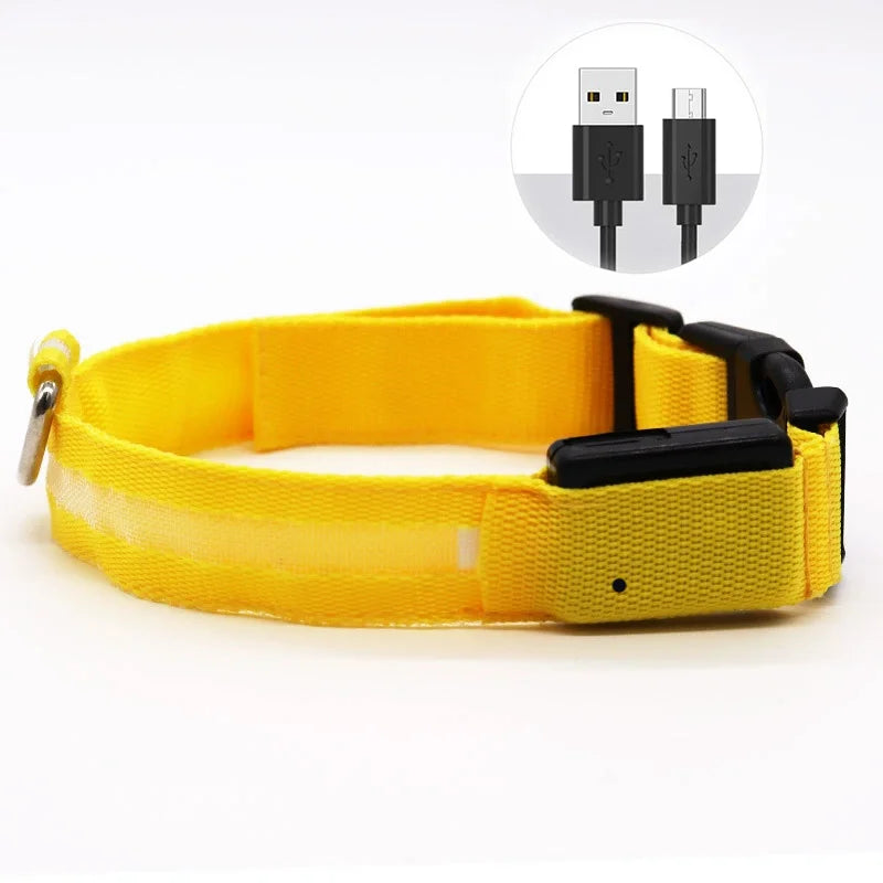 USB Rechargeable LED Collar – Maximum Visibility & Night Safety