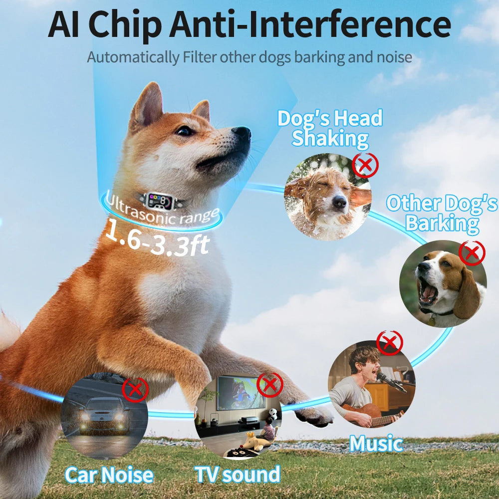 Collier Anti-Aboiement Intelligent – Son & Vibration Ajustables 🔇🐶💛