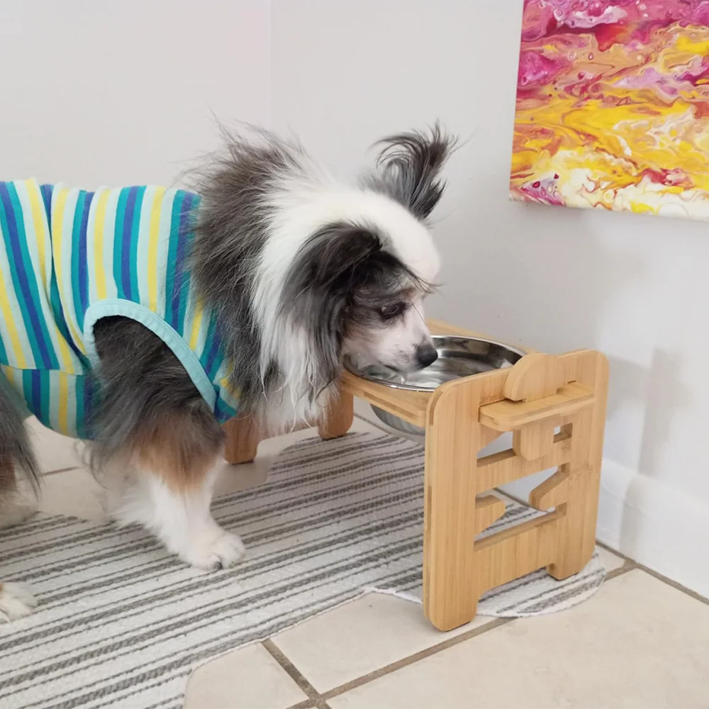 Support Surélevé Ajustable avec Bols Inox – Confort & Digestion Optimale 🐶💛