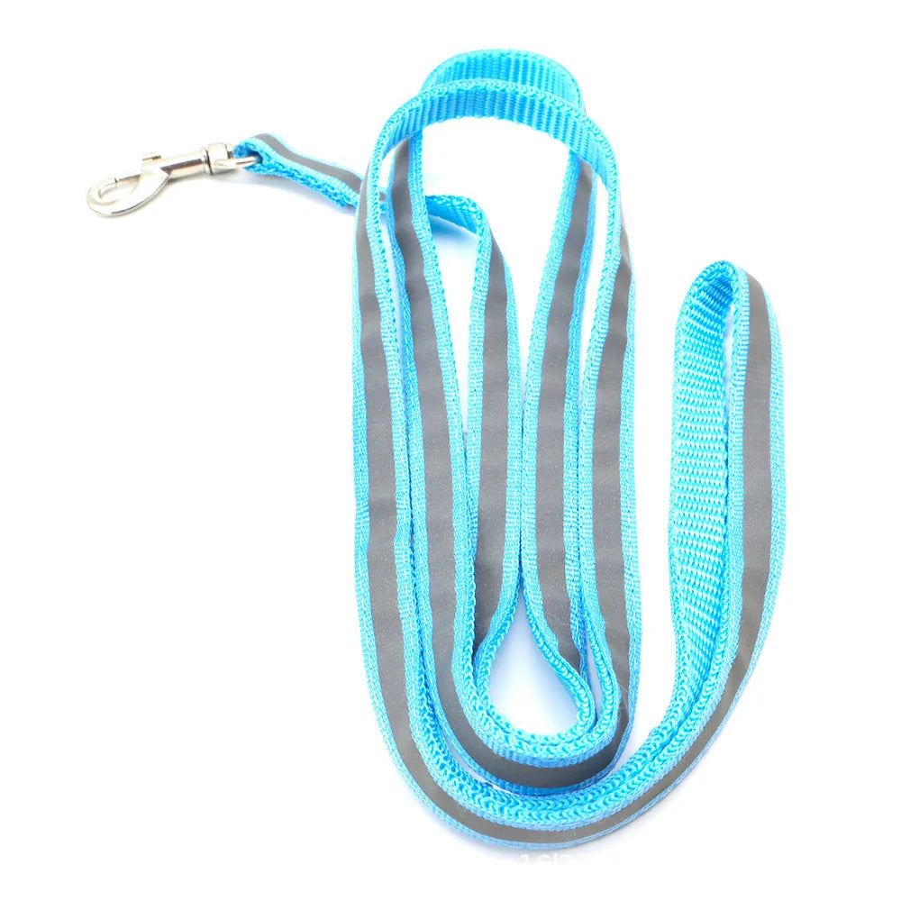 Reflective Leash – Safety & Simplicity for Everyday Use 🐶🌙💛