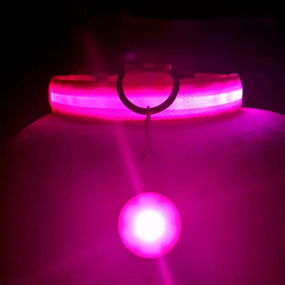USB Rechargeable LED Light-Up Dog Collar – Night Safety