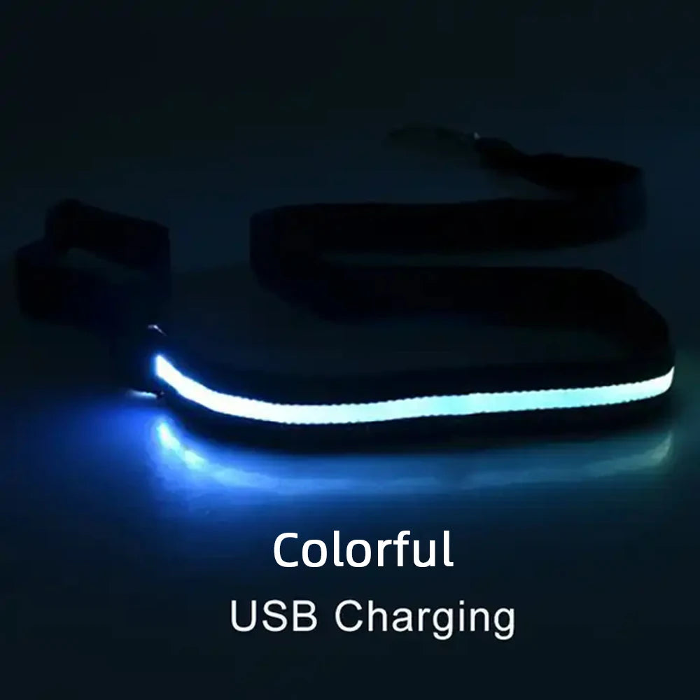 LED Luminous Leash – Night Visibility & Safety 🌙✨🐶