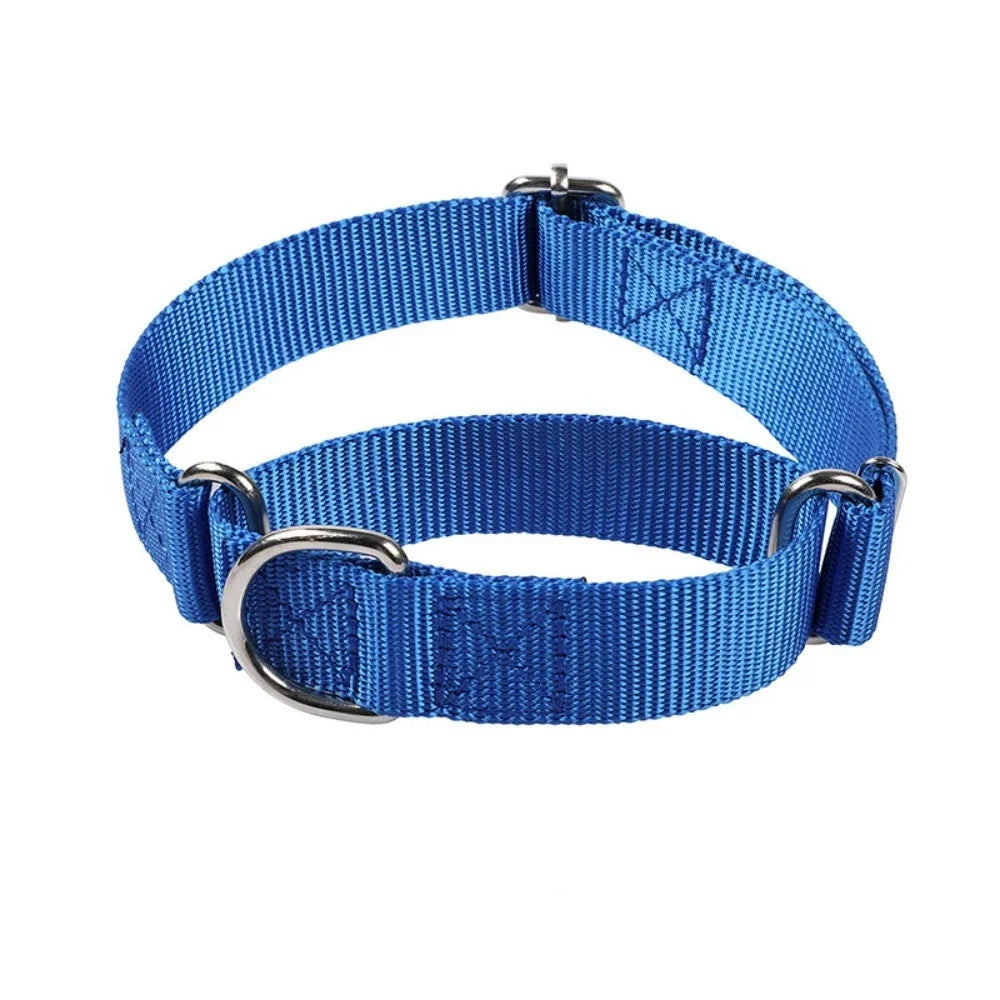 Martingale Anti-Escape Collar – Gentle Control & Total Security 🐶💛