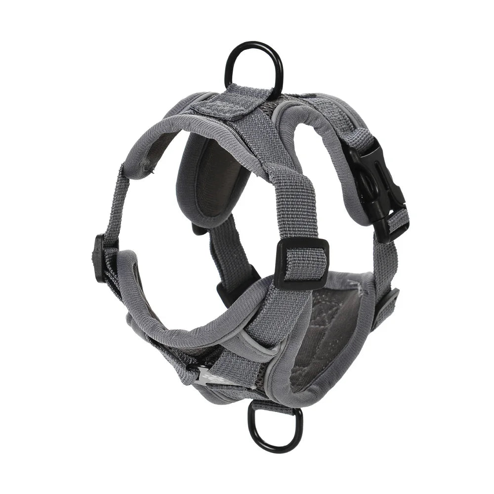 Reflective Hiking Harness + Leash – Active Safety & Comfort 🐶💛