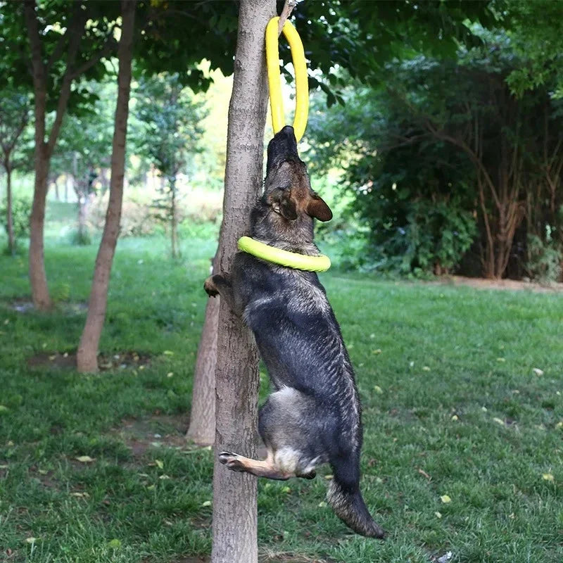 Disque Volant Flottant pour Chiens – Jeu Interactif
