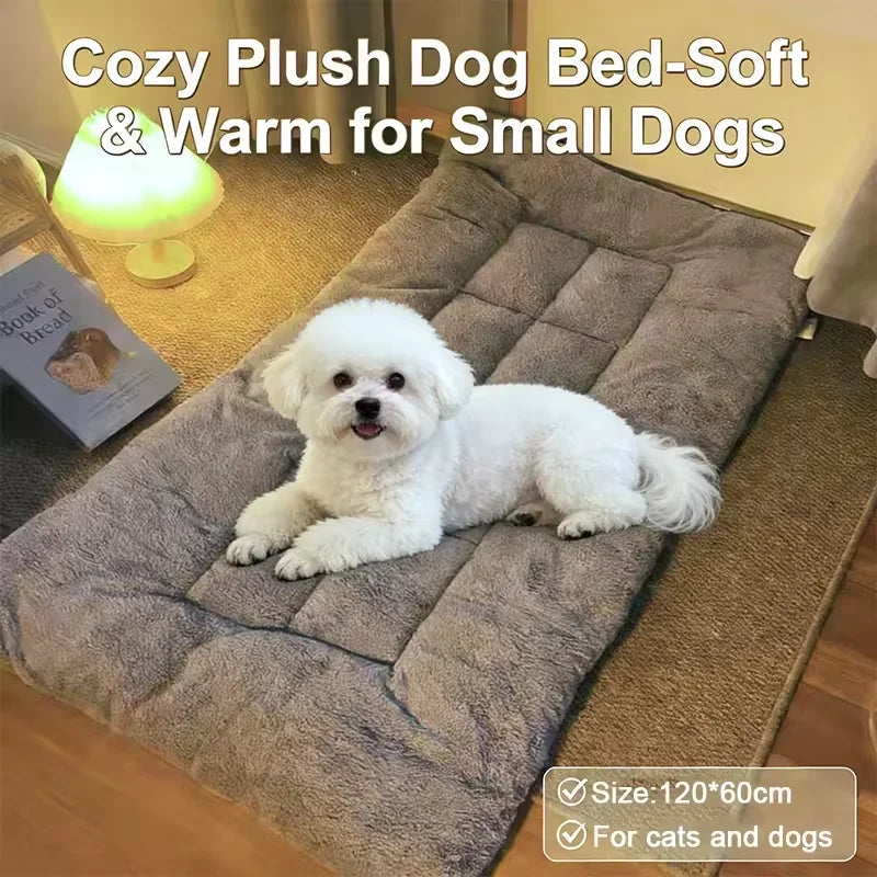 Lit Douillet Confort+ – Ultra Moelleux & Chaleur Apaisante 🐶🛏️💛