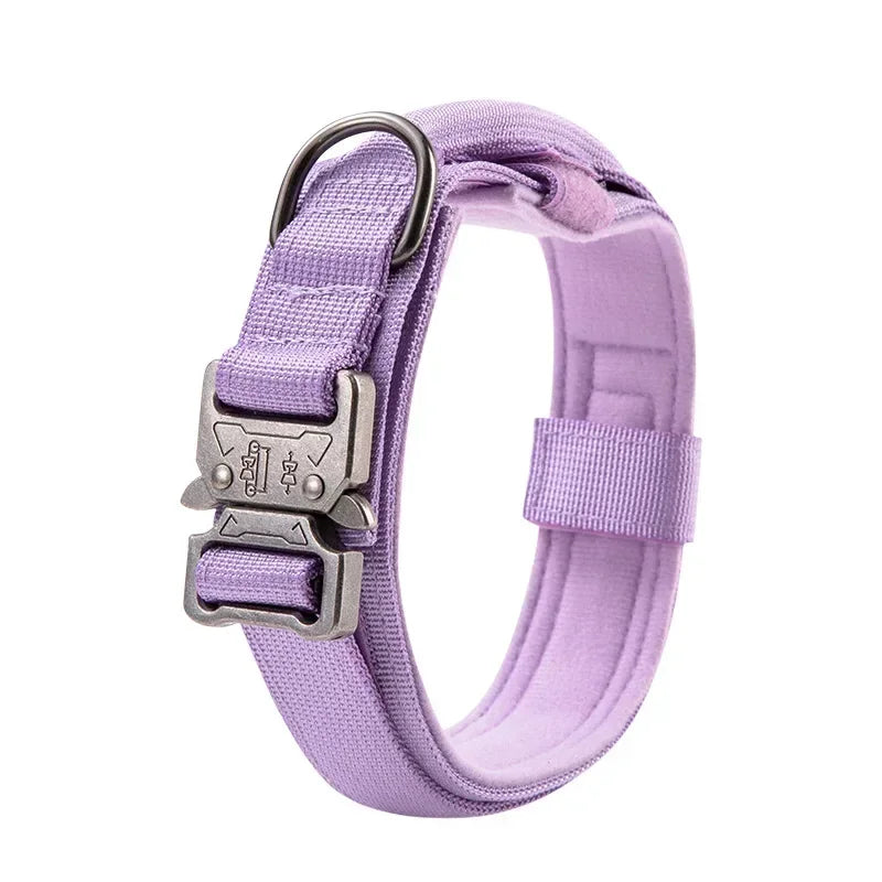 Tactical Sport Nylon Collar – Optimal Control & Resistance 🐕💪