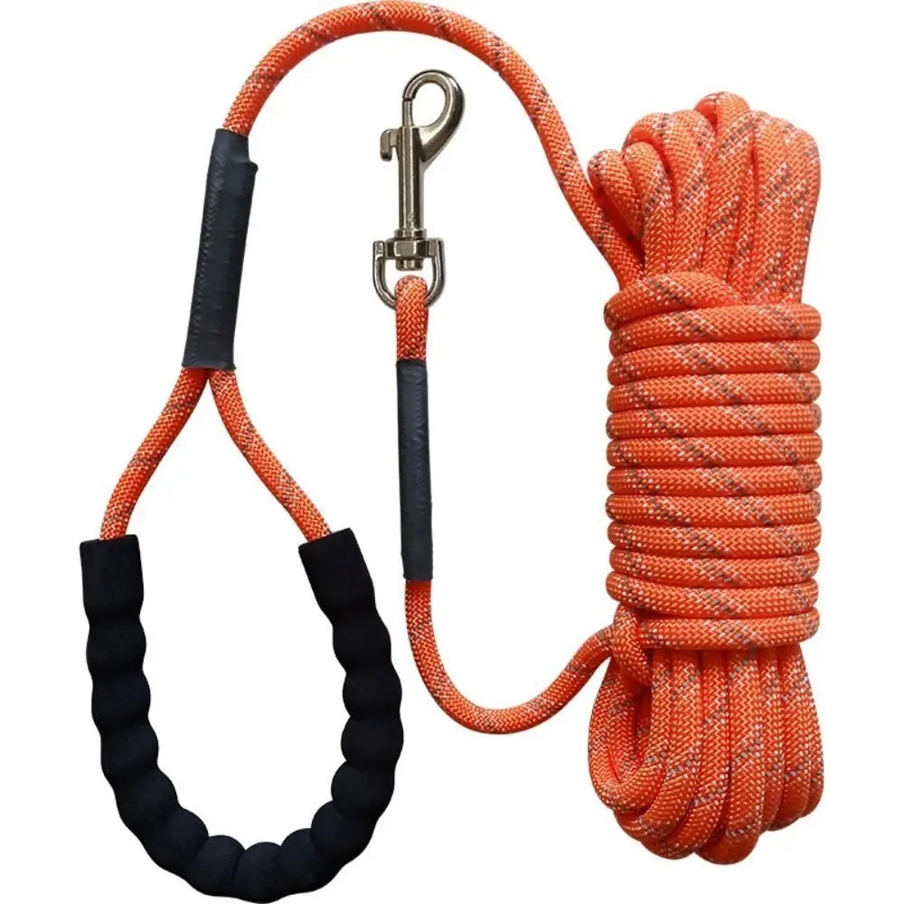 Long Training Leash – Freedom & Total Control 🐶📏💛