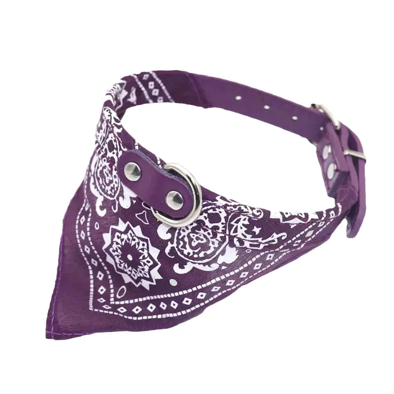Elegant Collar with Scarf for Dogs & Cats