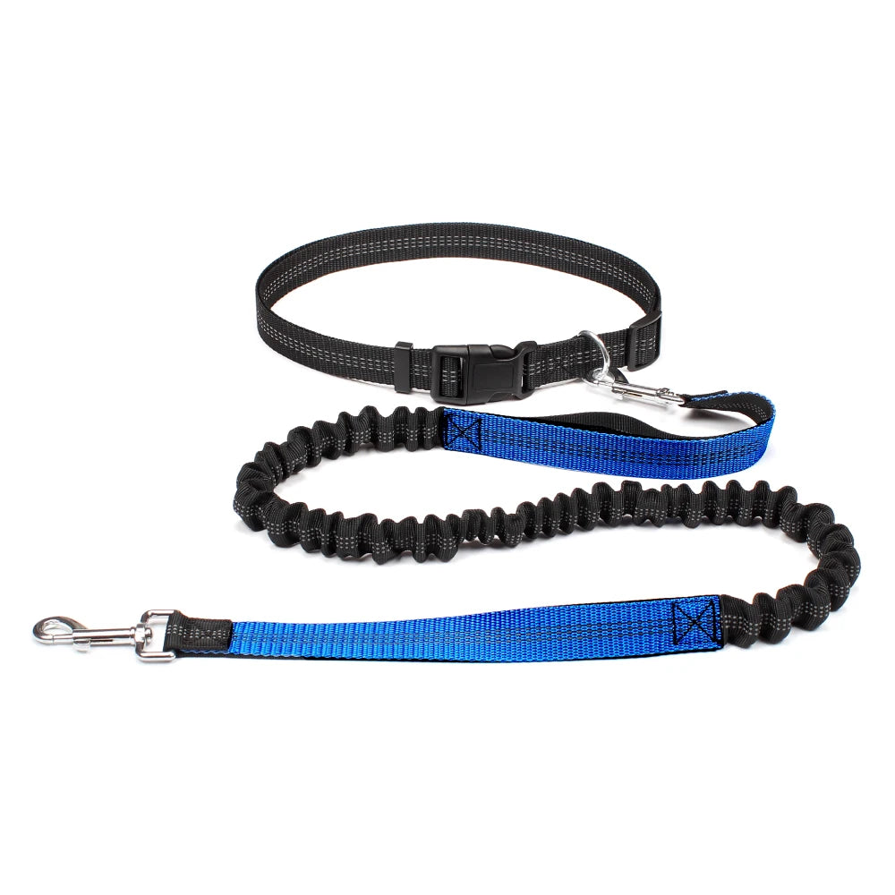 Comfort+ Hands-Free Leash for Dogs – Shock-Absorbing, Reflective & Adjustable 🐶🏃‍♂️💛