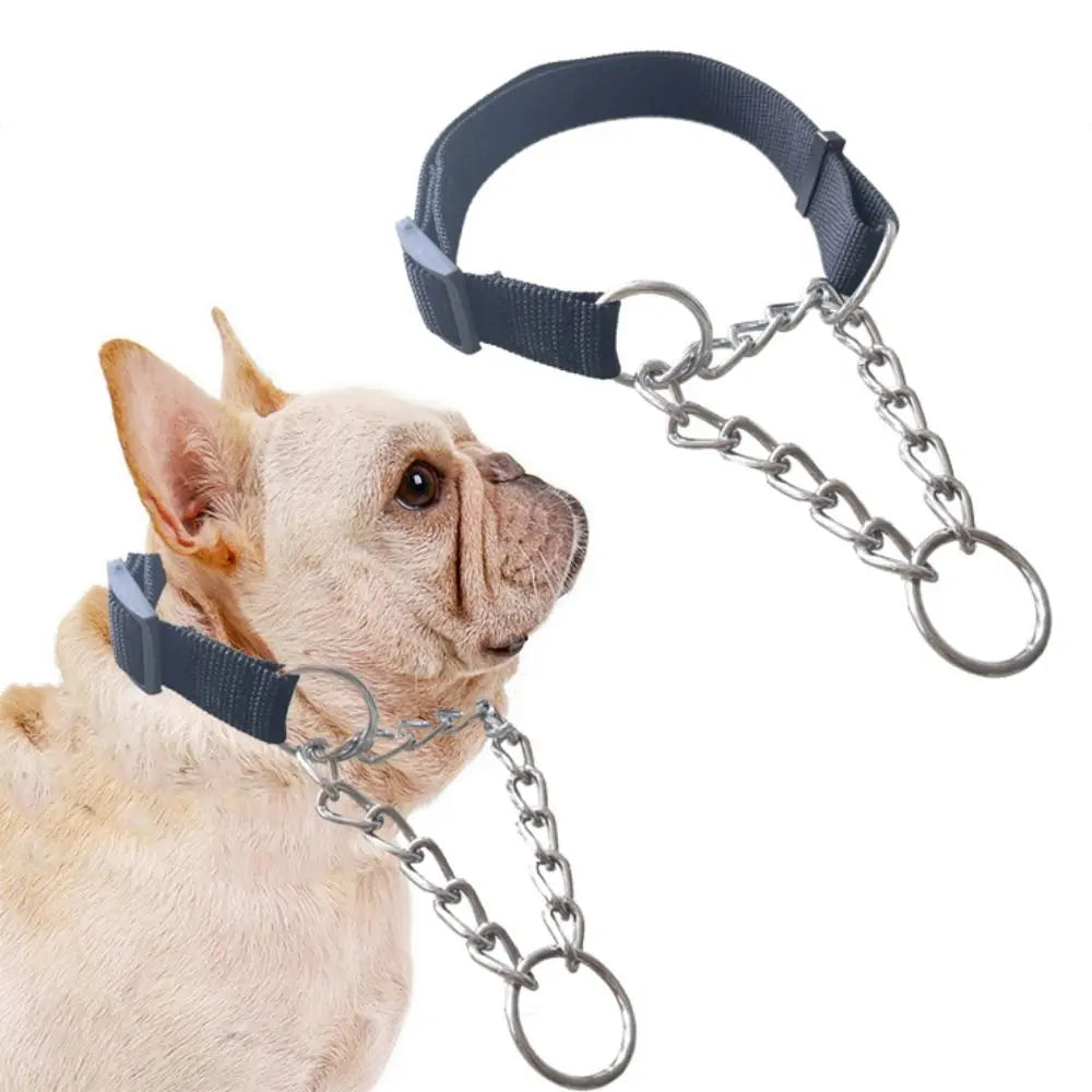 Reinforced Training Collar – Optimal Control & Safety 🐶💛