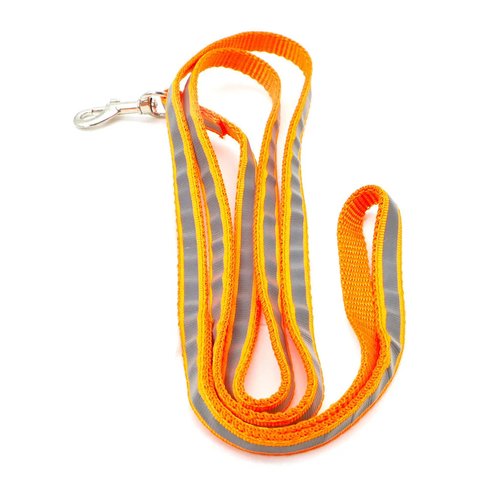 Reflective Leash – Safety & Simplicity for Everyday Use 🐶🌙💛