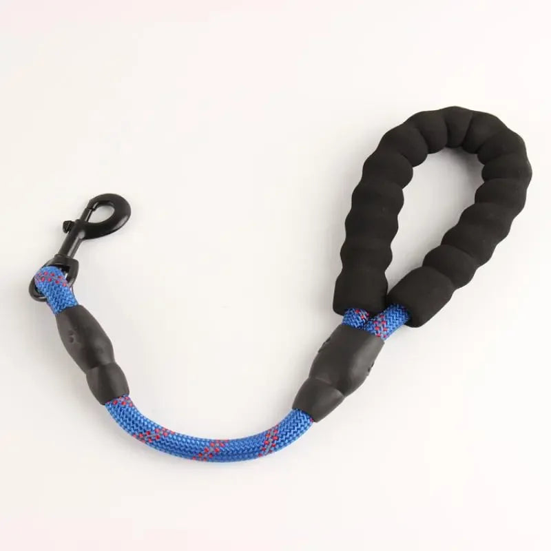 Reflective Bungee Leash – Comfort & Shock-Free Control 🐶💛