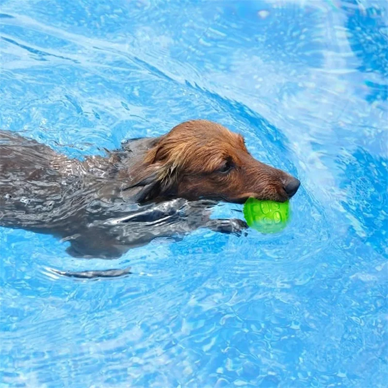 Interactive Squeaky IQ Ball – Play & Healthy Teeth 🐶🧠