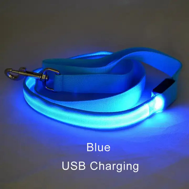 LED Luminous Leash – Night Visibility & Safety 🌙✨🐶