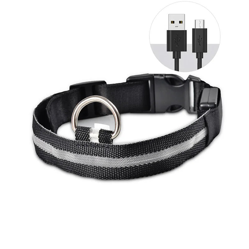 USB Rechargeable LED Collar – Maximum Visibility & Night Safety